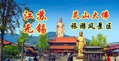 外国免费性爱视频网江苏无锡灵山大佛旅游风景区